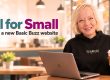 Fall for Small New Basic Buzz Website